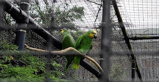 West Park Aviaries