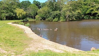 Ballard Water Meadows