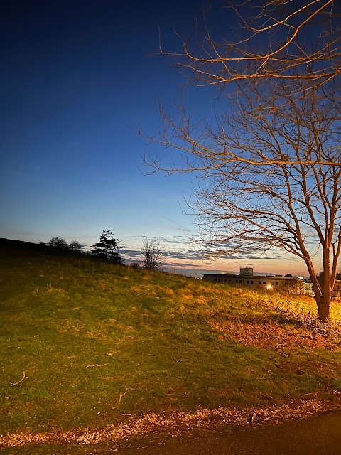 University of East Anglia