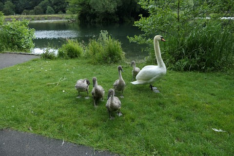 Bathpool Park