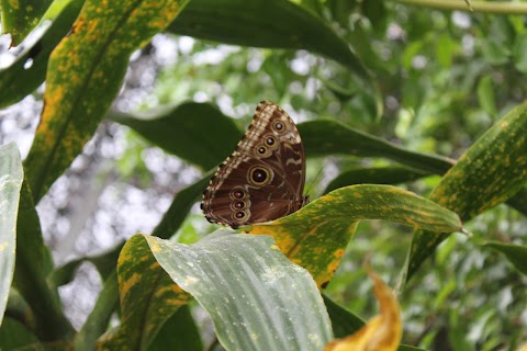 The Nature Reserve at Twycross Zoo