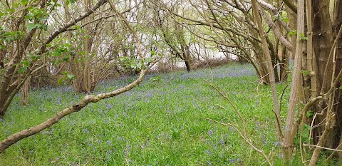 Rutland Water Campsite