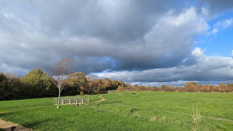 Hampshire Farm Meadows