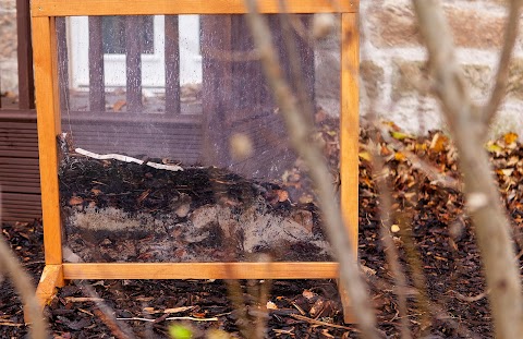 Musselburgh Nature Kindergarten