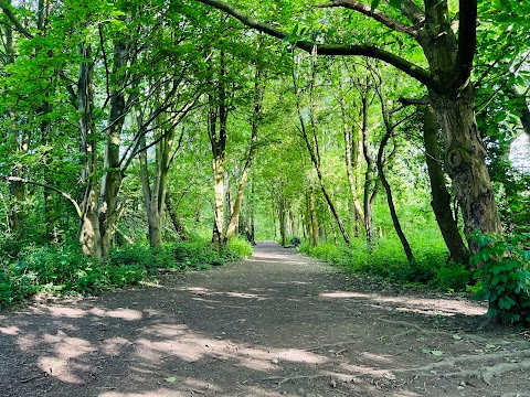 Chorlton Ees Nature Reserve