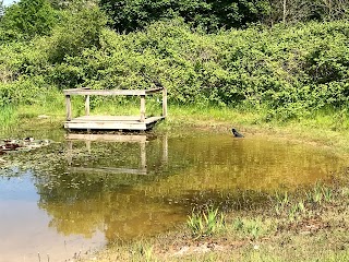 Callington Road Nature Reserve