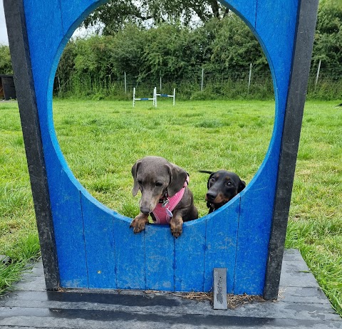 Westhoughton Dog Park