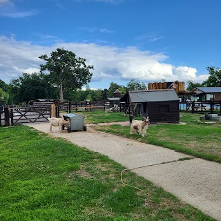 Jake's Playbarn & Mini Farm