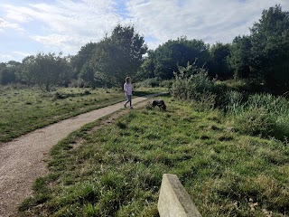 Shepherd Meadow Nature Reserve