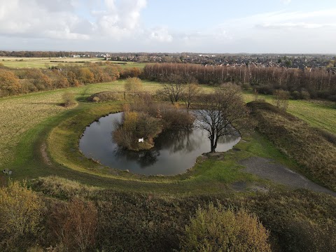 Wood Pool