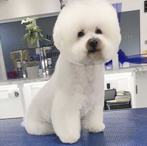 Pet Spa Essex - Dog Grooming & Pet Boutique in Brentwood, Essex