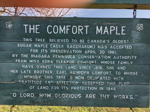 Comfort Maple Conservation Area