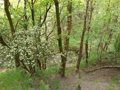 Stalybridge Country Park