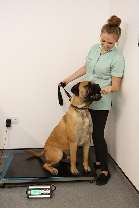 Ashlands Veterinary Centre, Glusburn