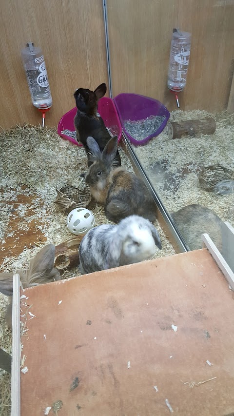 Pets at Home Doncaster