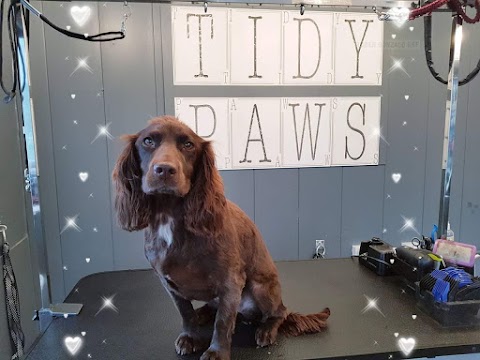 Tidy Paws Southport