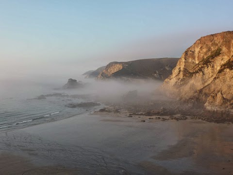 Cove Cottages