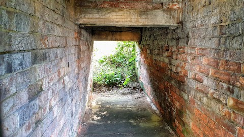 Headingley Bear Pit