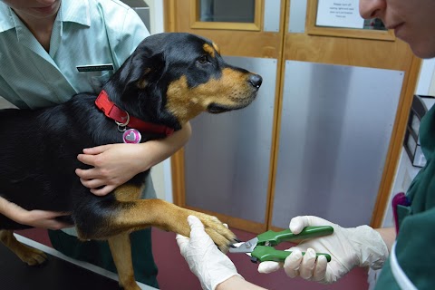 Willow Veterinary Clinic - Drayton High Road