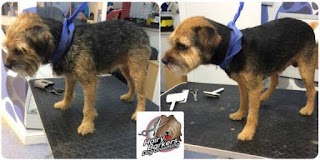 Hairy Barkers Dog Grooming