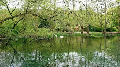 Allestree Park Lake