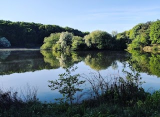 Vicar Water Country Park