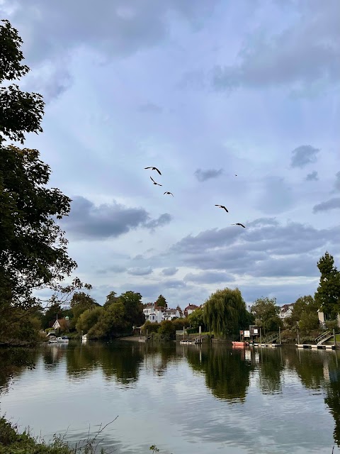 Herne Hill School