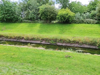 King's Meadow Nature Reserve