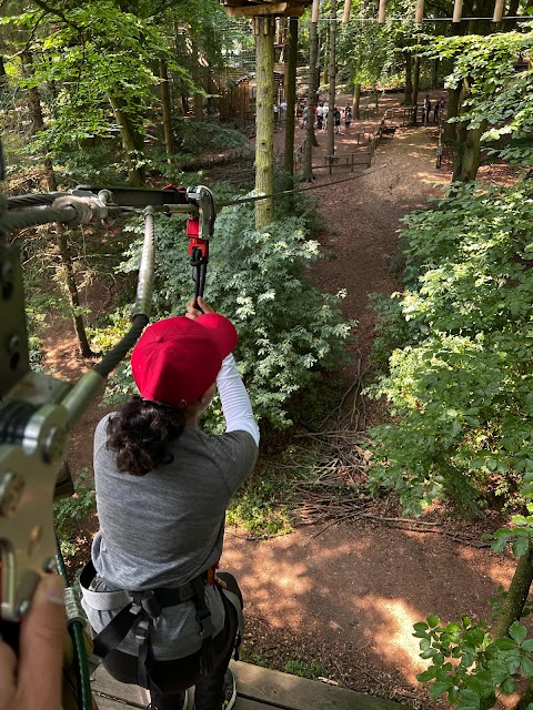 Go Ape Temple Newsam