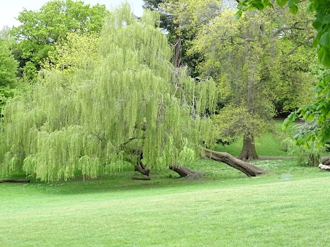 Sydenham Wells Park