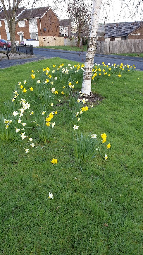 Monkstown Community Centre