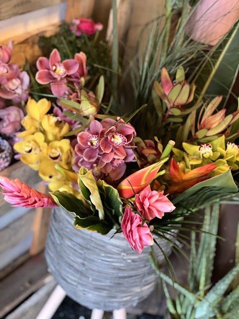 Eustoma Flowers