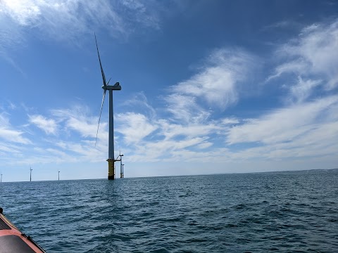 Sussex Boat Trips