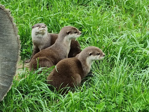 Northumberland Zoo