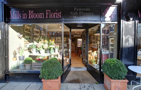 Mills in Bloom Florists Winchester