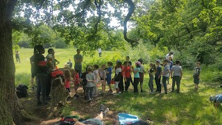 Forest School Sports Field (Snaresbrook)