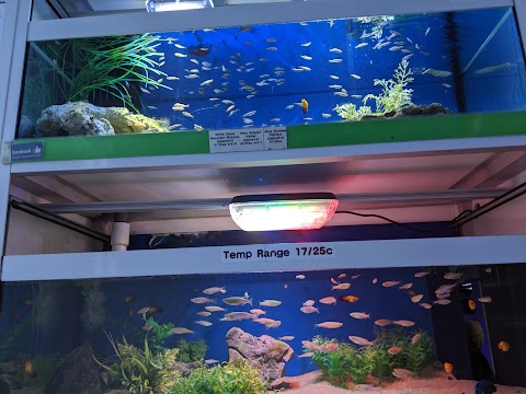 Oasis Aquarium Ltd