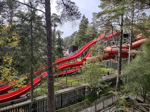 Landmark Forest Adventure Park