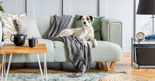 Petsure UK