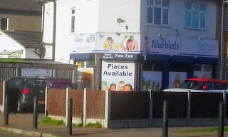 Bluebirds Childcare