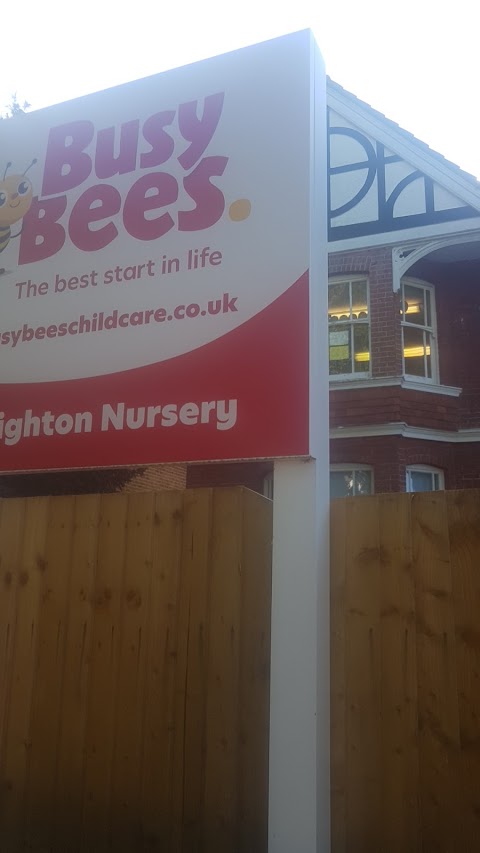 Busy Bees at Brighton