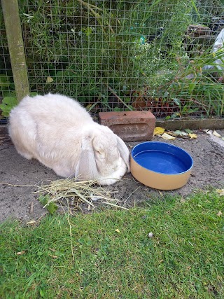 Hartshorne Veterinary Surgery