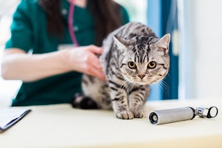 Churchview Veterinary Centre