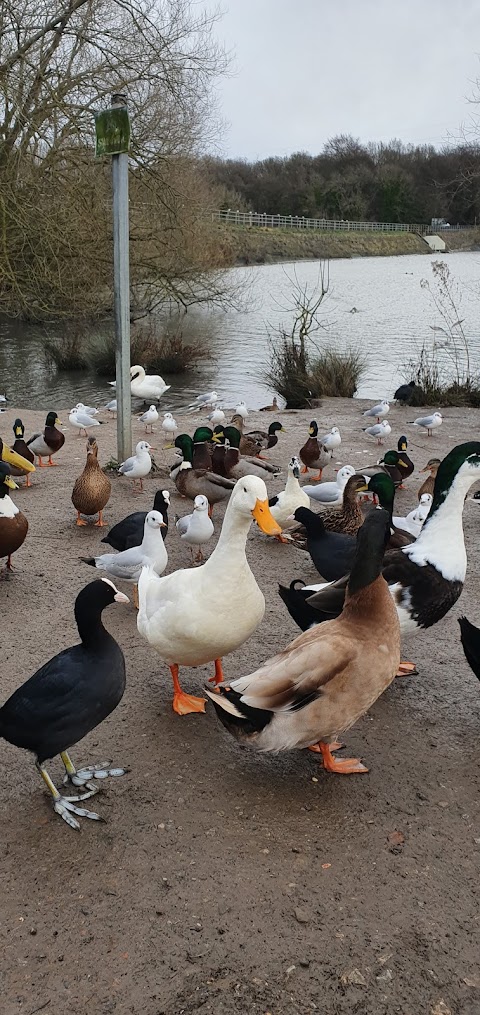 Elsecar Park Cafe