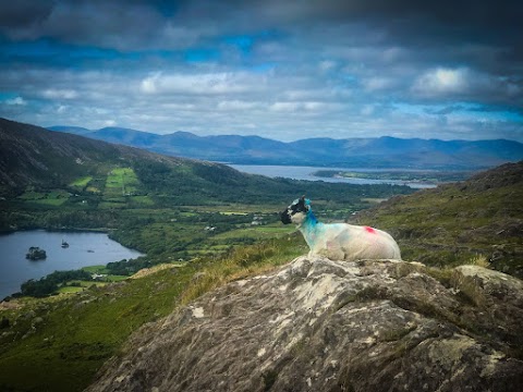 Vagabond Tours of Ireland