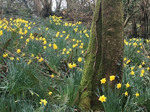 Lower Marsh Farm