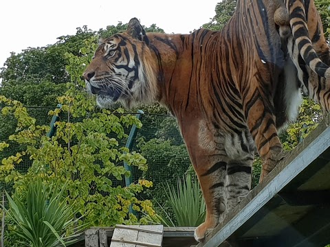 Hilltop Viewpoint Edinburgh Zoo