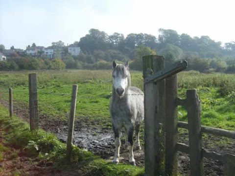 Cotwall End Local Nature Reserve