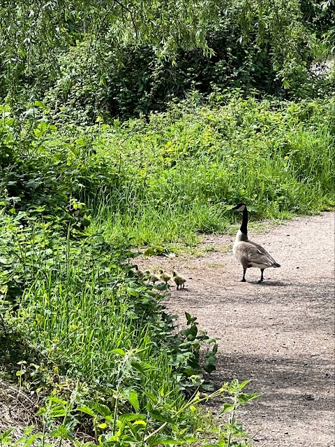 Fishlake Meadows Nature Reserve