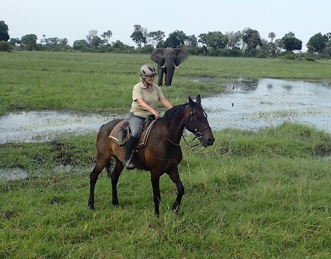 In The Saddle | Holidays on Horseback